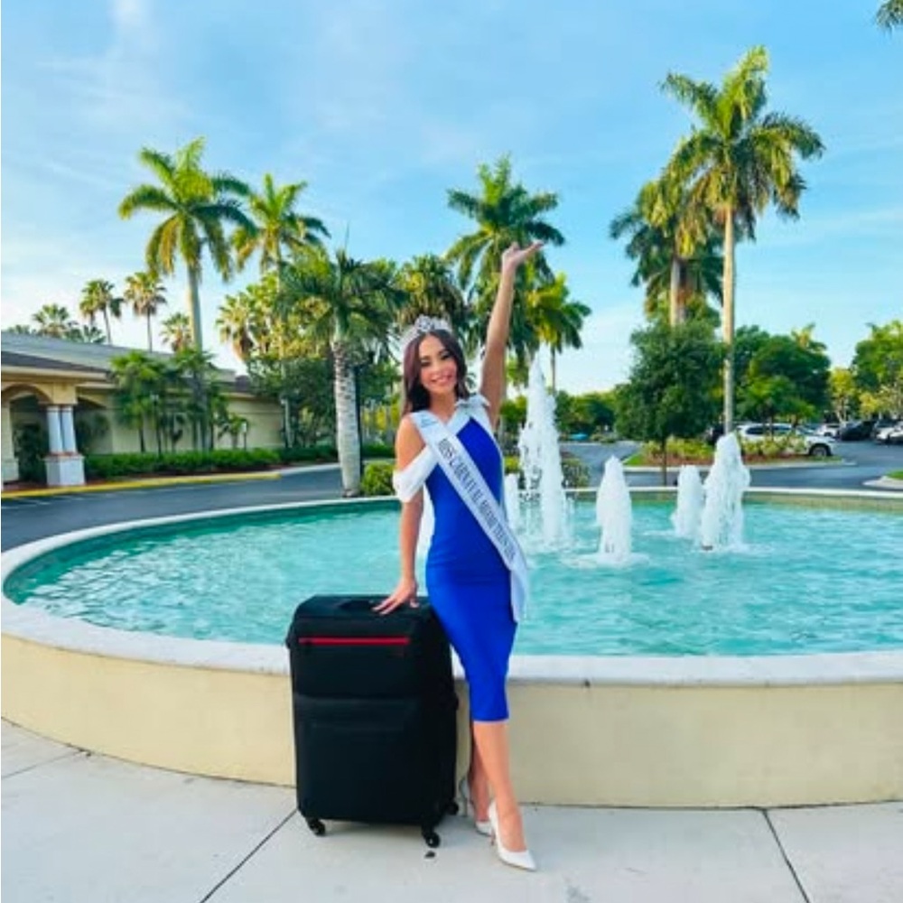 Blue Dress with Black Suitcase